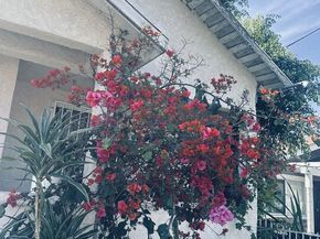 1620 E 33rd Street, Los Angeles CA 90011