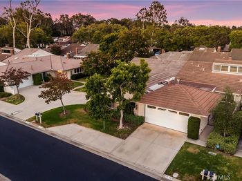 17292 Candleberry