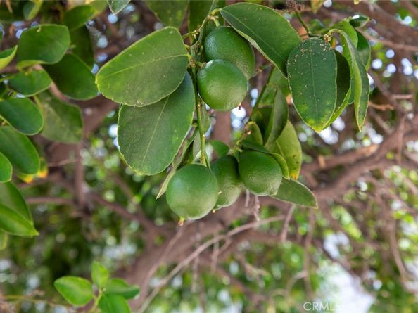 1333 Arapahoe Street, Los Angeles CA 90006