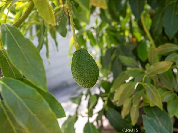 1333 Arapahoe Street, Los Angeles CA 90006