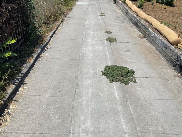 2246 Glenrose Avenue, Altadena CA 91001