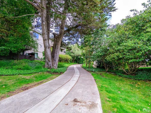6148 Shelter Creek Lane, San Bruno CA 94066