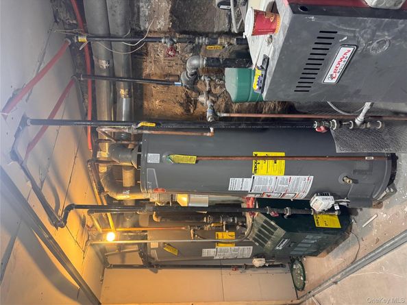 433 Jerome Street, Brooklyn NY 11207