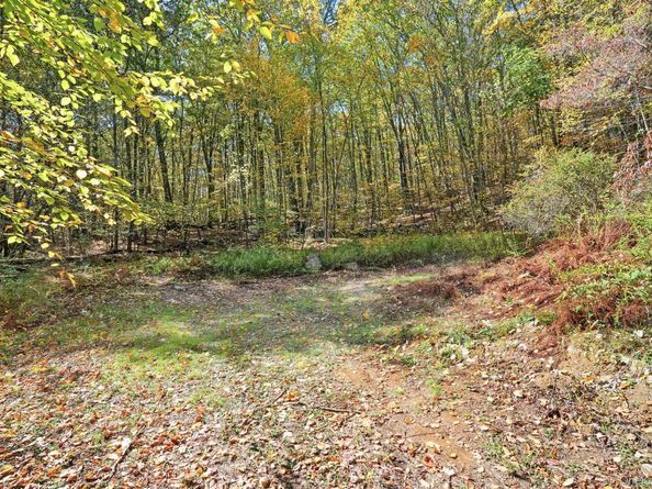 2 Coburn Road W, Sherman Coburn Road W, Call Listing Agent NY 06784