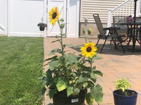 210 Bellerose Avenue, East Northport NY 11731