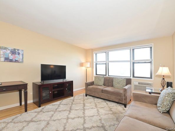 2 Birchwood Court 5H, Mineola NY 11501