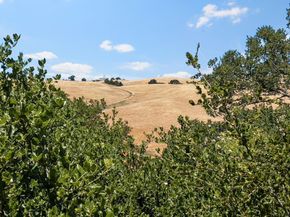 14449 Liddicoat Circle, Los Altos Hills CA 94022