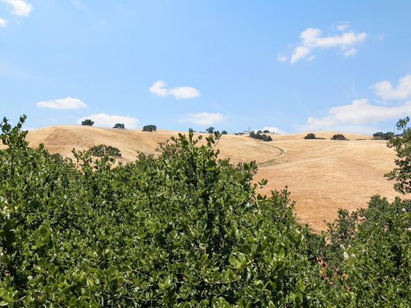 14449 Liddicoat Circle, Los Altos Hills CA 94022
