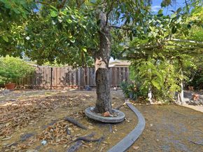 725 Santa Rita Street, Sunnyvale CA 94085