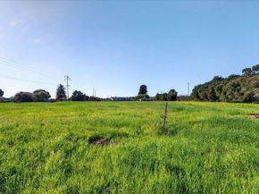 145 Bencich Lane, Watsonville CA 95076