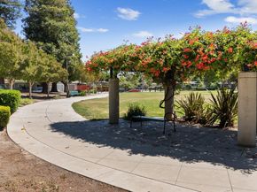 1237 Santa Paula Avenue, San Jose CA 95110