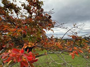 46 Valley View Road, Watsonville CA 95076