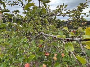 46 Valley View Road, Watsonville CA 95076