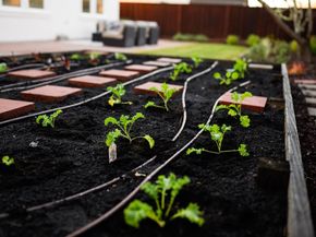 31 Deerfield Drive, Scotts Valley CA 95066