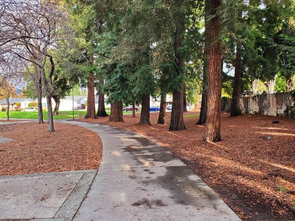 2015 Lakewood Drive, San Jose CA 95132