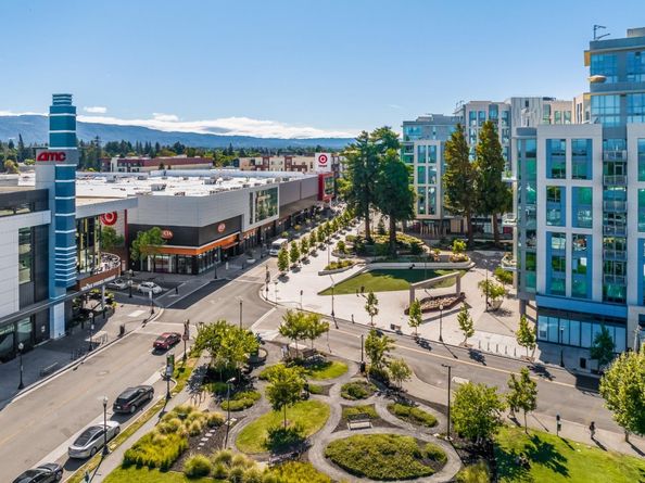 203 Peppermint Tree Terrace 8, Sunnyvale CA 94086