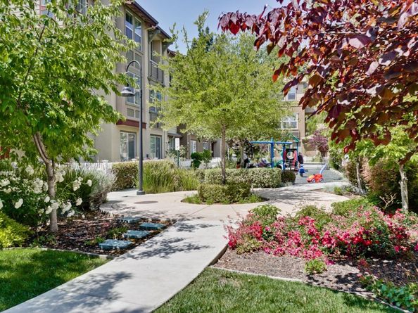 203 Peppermint Tree Terrace 8, Sunnyvale CA 94086