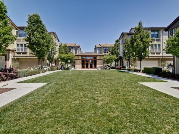 203 Peppermint Tree Terrace 8, Sunnyvale CA 94086