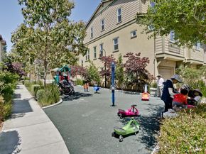 203 Peppermint Tree Terrace 8, Sunnyvale CA 94086