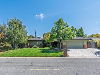 1981 Newcastle Drive