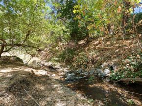 932 Lundy Lane, Los Altos CA 94024