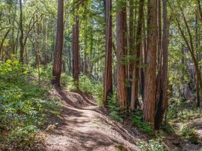 1480 Hillside Drive, Boulder Creek CA 95006