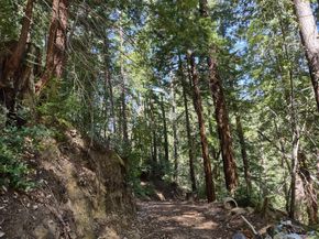 2950 Bear Canyon Road, Los Gatos CA 95033