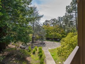 3316 Brittan Avenue 11, San Carlos CA 94070