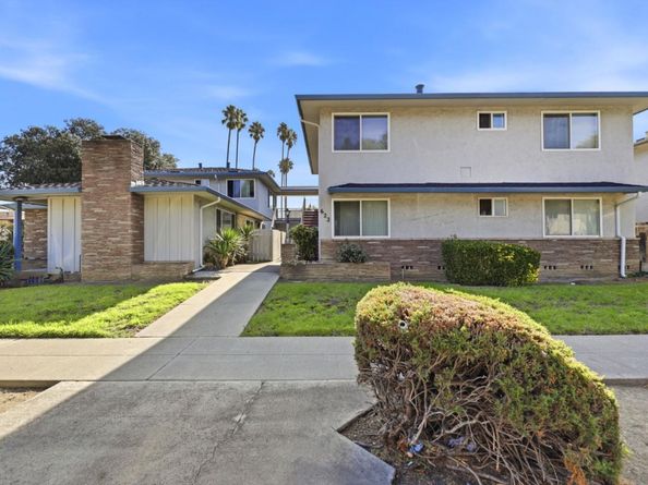 Grand Fir, Sunnyvale CA 94086