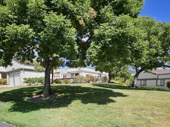 6327 Whaley Drive, San Jose CA 95135