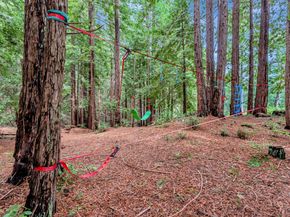 12845 Love Creek Road, Ben Lomond CA 95005