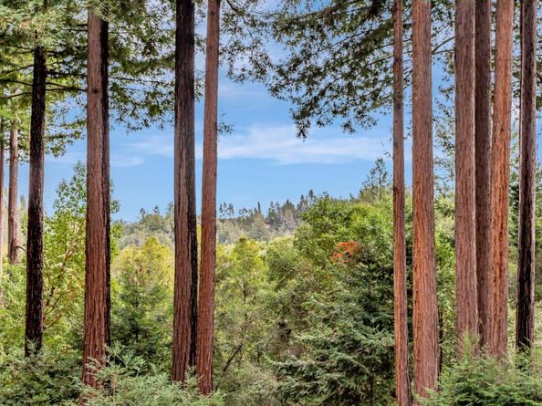 12845 Love Creek Road, Ben Lomond CA 95005