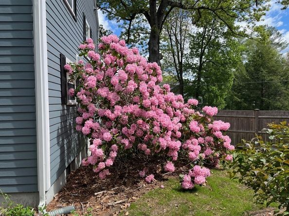 60 Sutton Road, Needham MA 02492