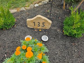 135 Pine Avenue, Sturbridge MA 01566