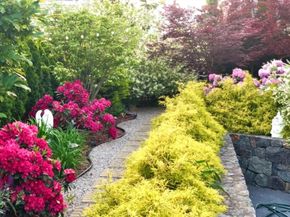 7 Sherman Place 7, Winchester MA 01890