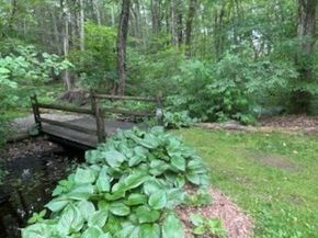 164 White Birch St, Leicester MA 01524