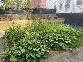 505 Green St, Cambridge MA 02139