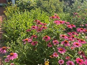16 Fredette Rd, Newton MA 02459