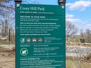 101 Summit Ave D, Brookline MA 02446