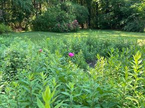 364 North Ave, Rockland MA 02370