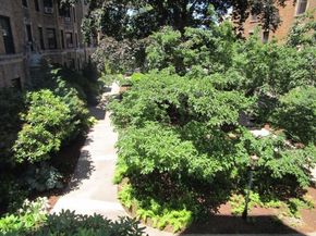 118 Riverway 8, Boston MA 02215