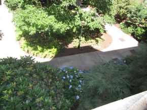 118 Riverway 8, Boston MA 02215