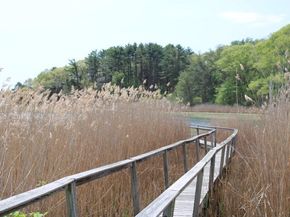 5R Brooks Rd, Gloucester MA 01930