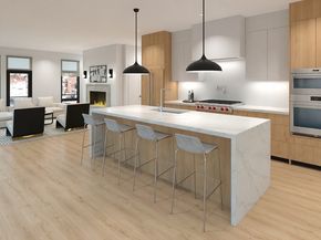 14 Green Street The PH, Brookline MA 02446