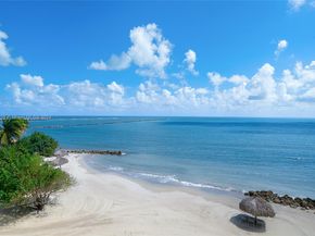 7433 Fisher Island Dr 7433, Miami Beach FL 33109