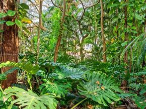 752 NW 7th St Rd, Miami FL 33136