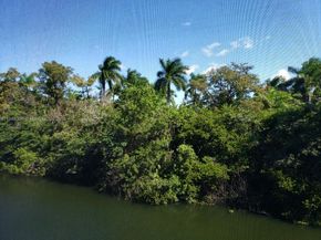 115 Royal Park Dr 2H, Oakland Park FL 33309