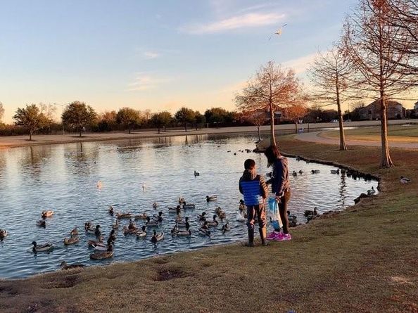 907  Ozark Drive , Allen Texas 75002