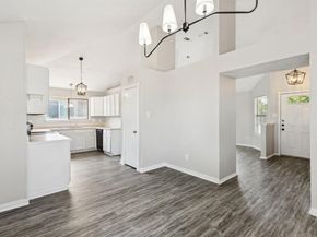 1411  Petunia Drive , Allen Texas 75002