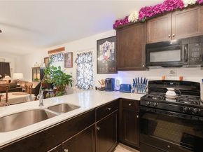 3217  Mountain Lion Avenue , McKinney Texas 75071